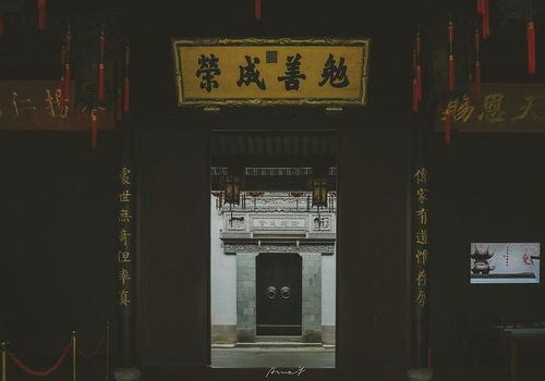 人生嘛,總會有這種顧此失彼的時刻 六月總結