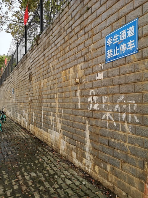 武漢光谷第五小學圍墻瓷磚松垮存安全隱患