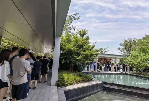 唐鎮認購第三天,突發 簽字墻