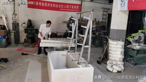 小川魚(yú)菜一體池 免固化 綠植墻 帶過(guò)濾 家用活魚(yú)保鮮庫(kù) 蔬菜工廠