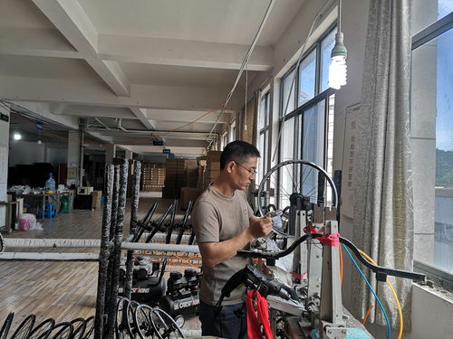 騎行熱 帶火市場(chǎng) 臨安企業(yè) 爆單