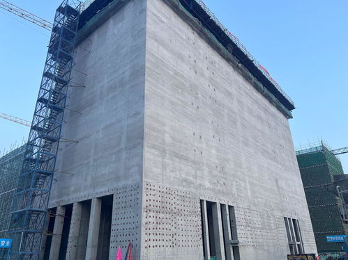 守護大國糧倉 中建一局三公司北京分公司德州中糧小麥加工項目二標段全面封頂