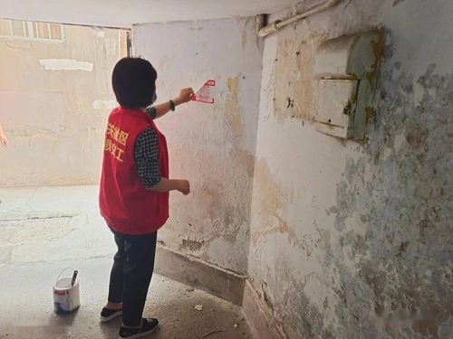 創建文明城市,東街在行動 五十四